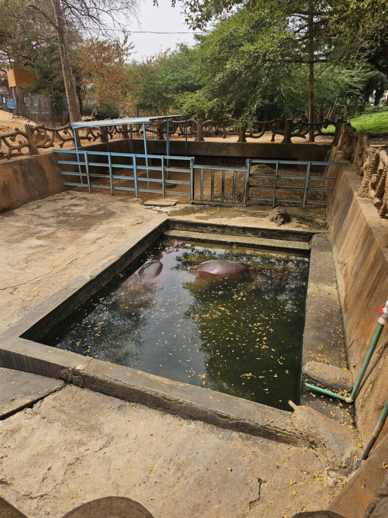 niger niamey national museum